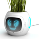 Image for article titled Digital Pot Lets Plants Tell You Their Demands